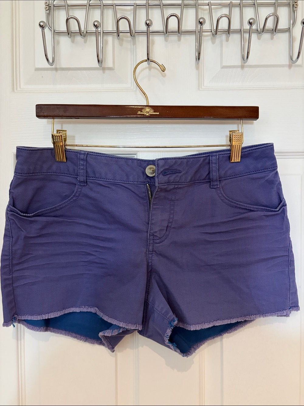LC Lauren Conrad Purple Frayed Hem Denim-Style Shorts